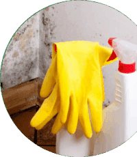 treating damp and mould