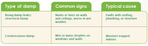 Different types of damp